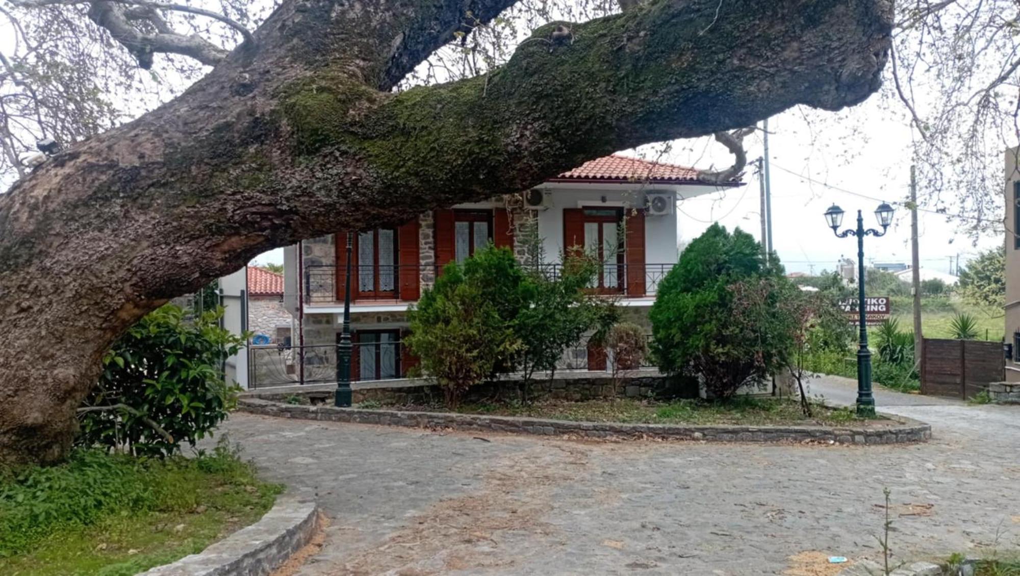 Villa Iris Містрас Екстер'єр фото